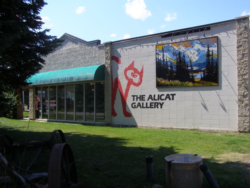 Alicat Galery